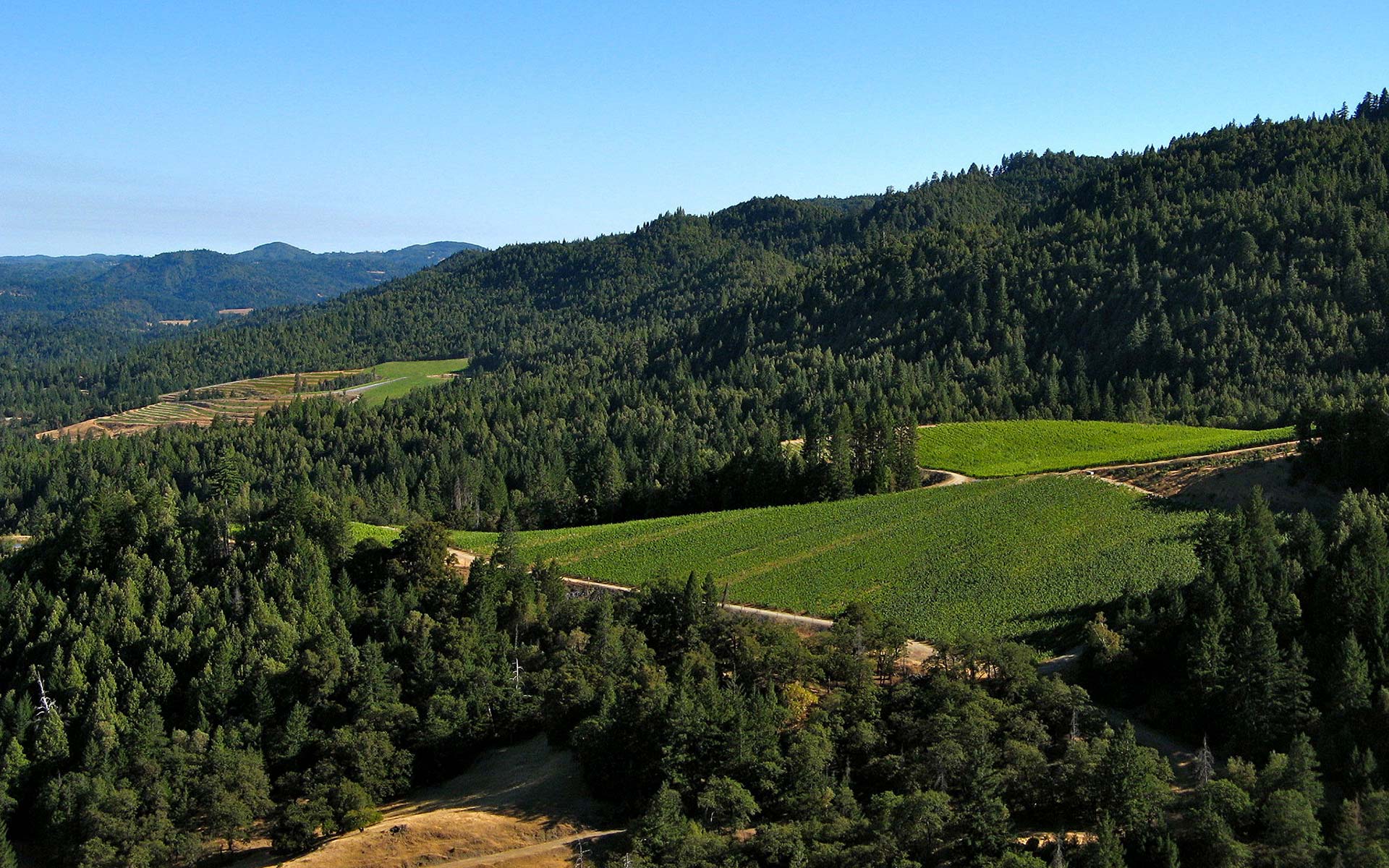 Pristine Setting: Overhead view of Alder Springs landscape