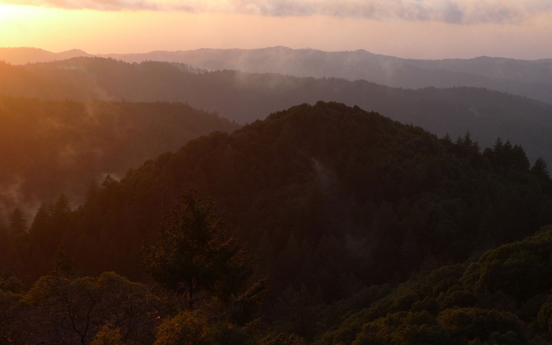 Remote Location: Misty mountain tops