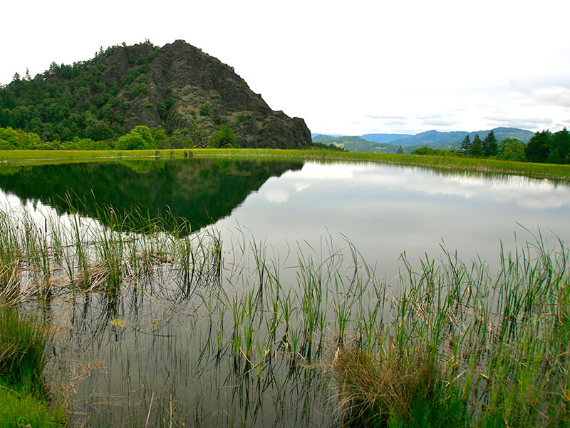 Cahto pond