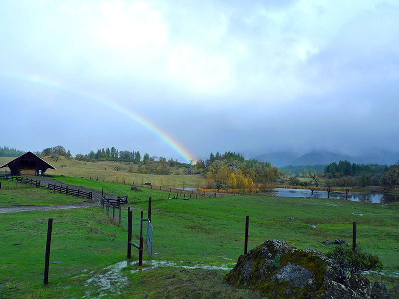 Haybarn Rainbow