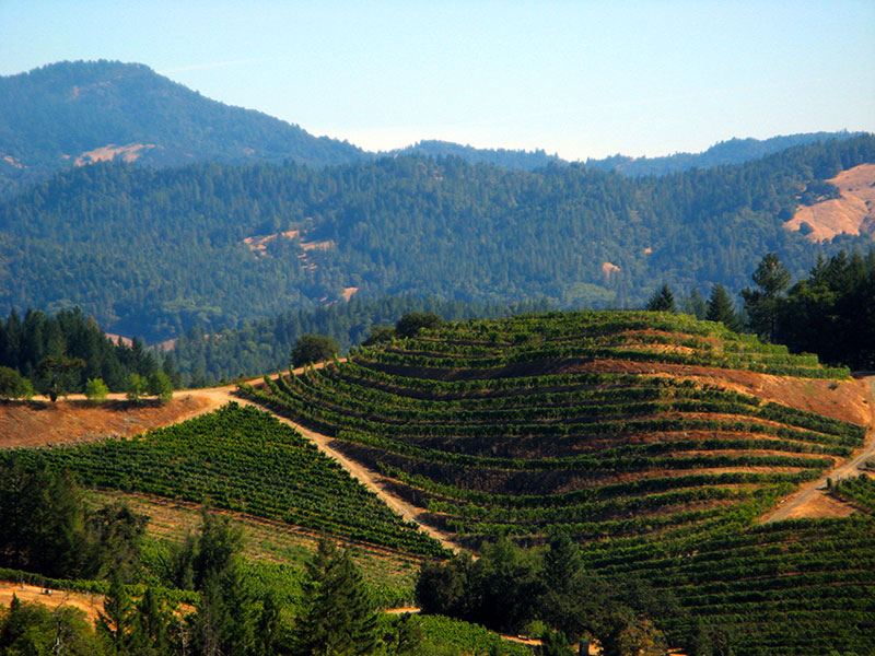 Landscape view of the Knob