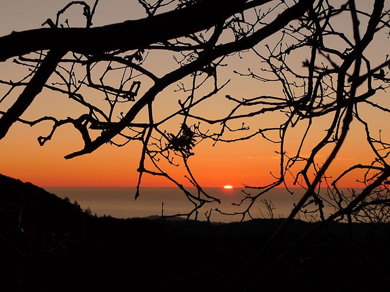 Sunset over the ocean